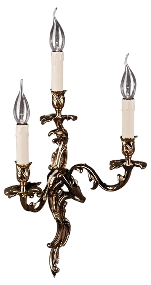 20th Century French Rococo Style Wall Light