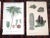 Realism Antique 19th Century Botanical Lithographs - Set of 3 For Sale - Image 3 of 5
