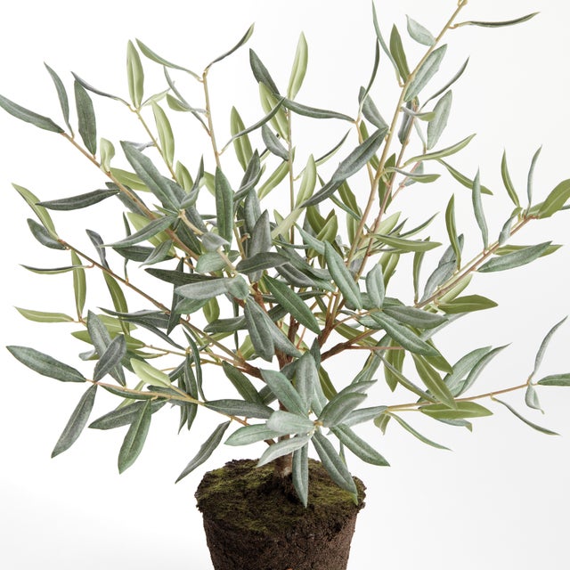 100% realistic a perfect copy of an olive tree. This dropin is a nomaintenance work of art. Complete with a grower, s pot,...
