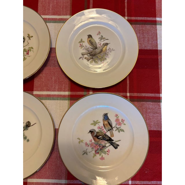 Mid Century Jkw Western Germany Porcelain Song Bird Plates, Set of 6 For Sale - Image 4 of 12