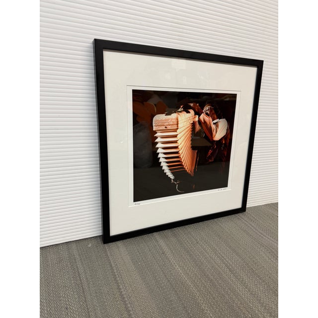 Design Plus Gallery presents a Framed “Buckwheat Zydeco” Music Photograph by Elsa Hahne. Captured in 2010, this color...