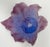 Glass Daum France Amaryllis Amethyst Pate De Verre Crystal Vide-Poche Bowl Signed in Original Box For Sale - Image 7 of 14