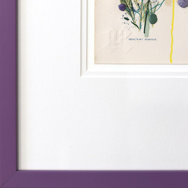 Paper Devil's Bit Scabious - Framed Original Botanical Mixed Media Painting on Antique Botanical Book Page by Lee Herring For Sale - Image 7 of 9