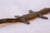 Vintage African Bronze Casting of Crocodile For Sale In New York - Image 6 of 8