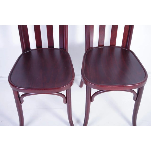 Set of Antique Chairs by Josef Hoffmann for Jacob & Josef Kohn For Sale - Image 10 of 18