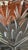 Transparent Marquis by Waterford Three-Section Crystal Relish Serving Bowl For Sale - Image 8 of 10