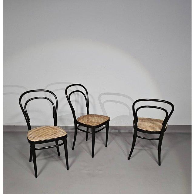 Model 214 and 79 Cafe Chairs with Cane Seats by Michael Thonet, Set of 3 For Sale - Image 16 of 18