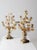 Victorian Antique Brass Candelabras Pair For Sale - Image 3 of 13