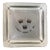 Antique Swedish Clear Frosted Glass Crown Design Catchall Square Dish For Sale