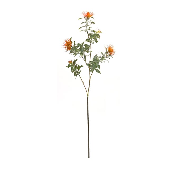 Rustic Orange Flocked Protea Spray (Set of 6) For Sale - Image 3 of 3