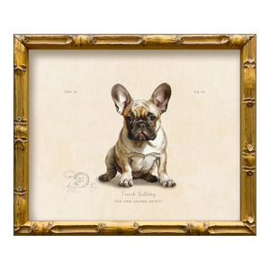 Reproduction Art Print of Vintage "World of Dogs" Illustration (French Bulldog), Framed