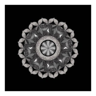 Meditation on a Spring Garden 4, Photograph, Print, 2010 For Sale