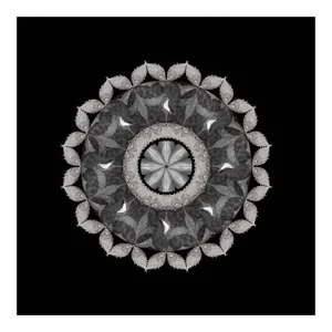 Meditation on a Spring Garden 4, Photograph, Print, 2010
