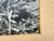 Mid-Century Modern Vintage Bighorn Ram Wildlife Photograph Framed Black & White Mountain Photo For Sale - Image 3 of 11