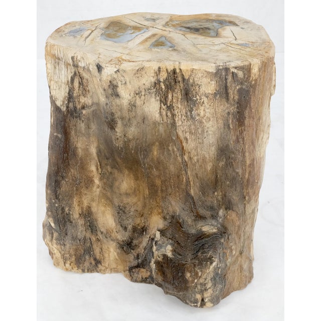 Mid-Century Modern Petrified Wood Organic Shape Multicolor Beige to Black Stand End Table Pedestal For Sale - Image 3 of 10