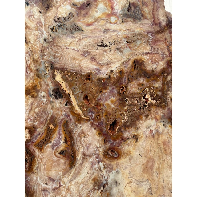 Early 21st Century Red Jasper Stone Sculpture by Xyleia Petrified Wood For Sale - Image 5 of 7