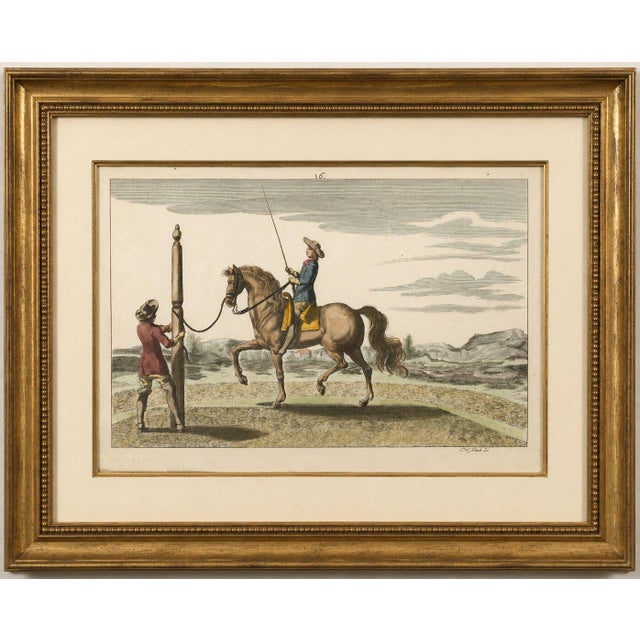 1678 Baroque Dressage Training Horse at the Pillar – Georg Simon Winter This original hand-coloured copperplate engraving...