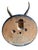 1900 - 1909 Roe Deer Trophy 127 Black Foret Antlers For Sale - Image 5 of 5