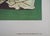 Pablo Picasso, La paix, Lithograph For Sale - Image 6 of 8