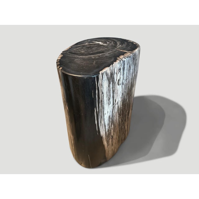 2010s Andrianna Shamaris Ancient Petrified Wood Side Table For Sale - Image 5 of 6
