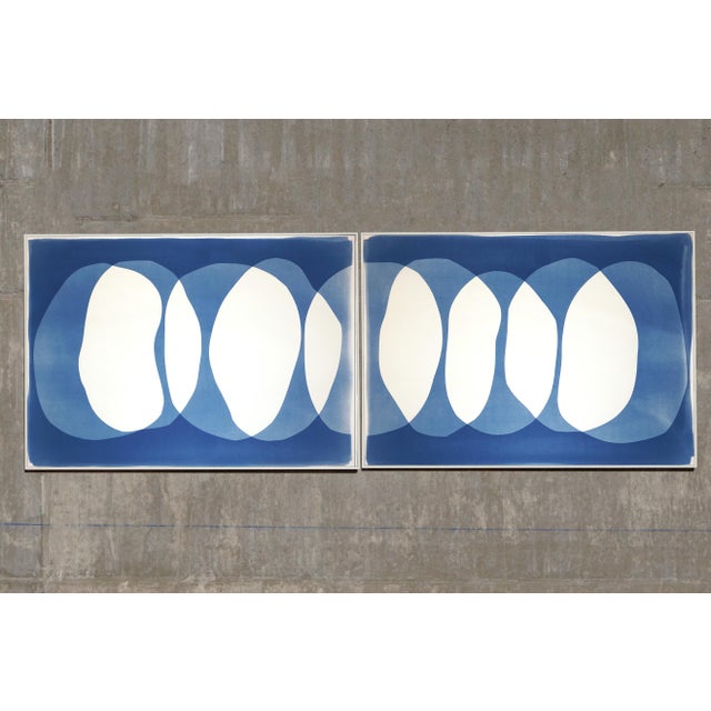 In Nine Lives, a unique monotype cyanotype, layered organic forms unfold across a diptych in a measured sequence of...