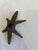 Vintage Cast Iron Star Wheel Industrial Farm Architectural Salvage For Sale - Image 4 of 7