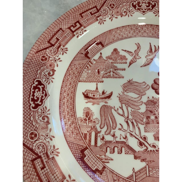 Late 20th Century Churchill Willow Rose Pink Red and White Plate For Sale - Image 5 of 7