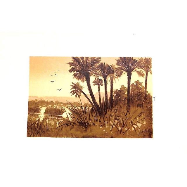 "Florida Days" 1889 Deland, Margaret For Sale - Image 9 of 9