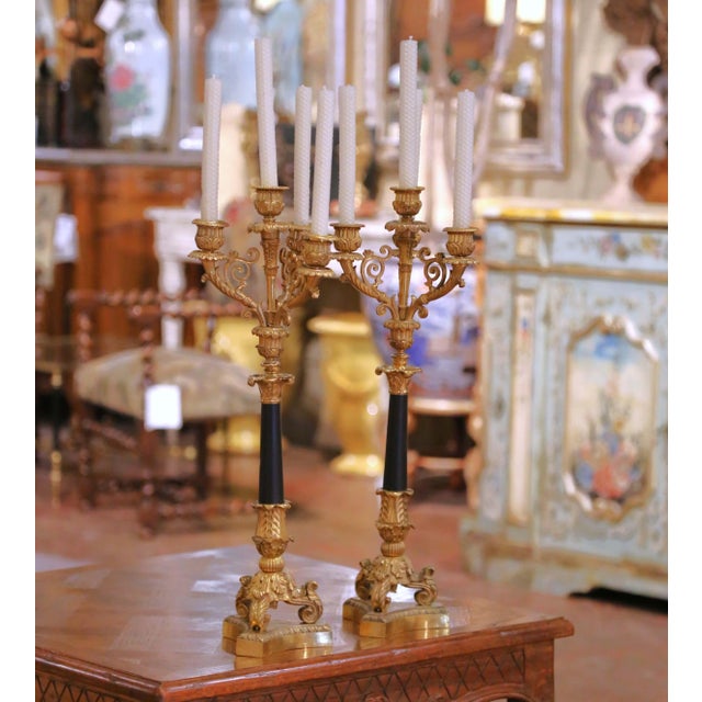 Traditional Pair of 19th C. French Empire Bronze and Patinated Brass Four-Light Candelabra For Sale - Image 3 of 10