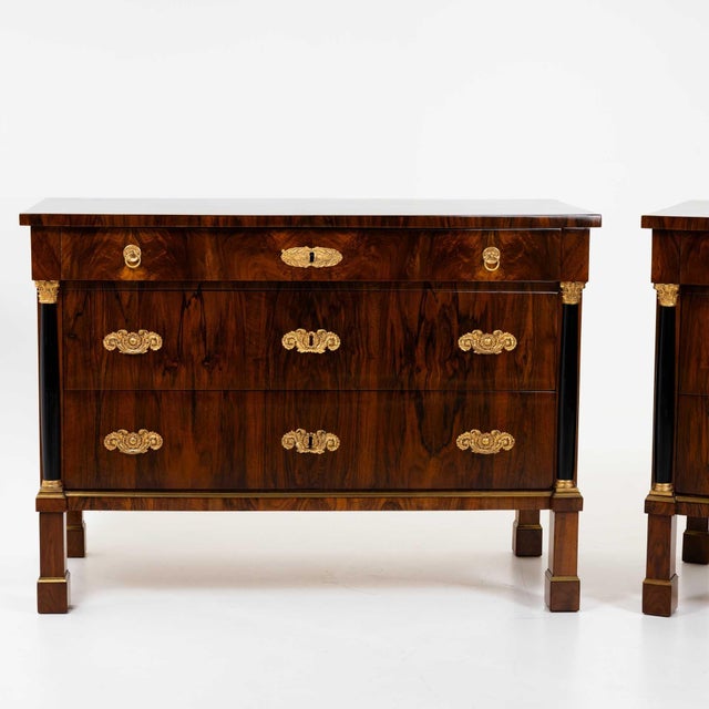Brown Pair of Large Italian Chests of Drawers, circa 1820 For Sale - Image 8 of 13