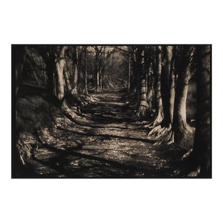 Vintage 1990's Sepia Toned Tree Lined Lane Photograph For Sale