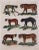 Traditional 19th Century Antique Hand Colored Engraving of Large Wild Cats- Tiger, Panther, Cougar For Sale - Image 3 of 4