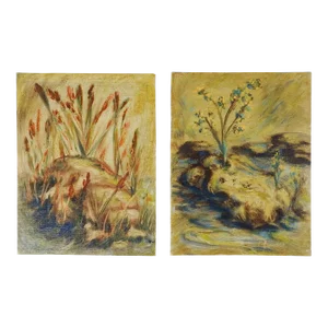 Vintage Mid 20th Century Garden Study Paintings - a Pair