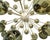 Not Yet Made - Made To Order 21st Century Nova Satin Brass Smoky Murano Sputnik Chandelier by Fabio LTD For Sale - Image 5 of 6