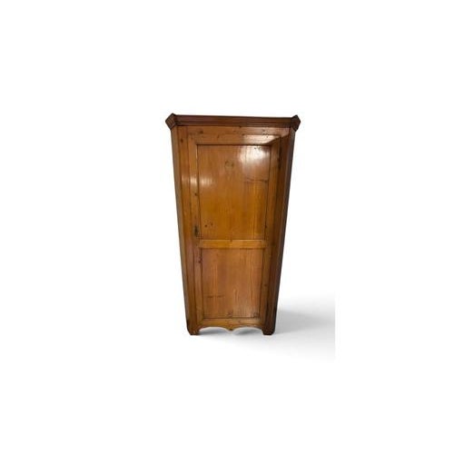 Antique Single-Door Corner Wardrobe with Internal Shelves For Sale - Image 9 of 9