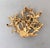 Metal Vintage 1970s Signed Napier Goldtone "Coral" Brooch For Sale - Image 7 of 7