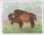 Impressionist American bison buffalo in a western landscape. In brown, green, tan, burnt orange. Animals, figure. Gouache...