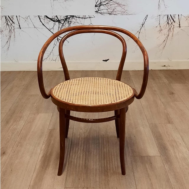 No. 209 Armchairs in Bentwood and Rattan from Ligna, 1970s, Set of 4 For Sale - Image 6 of 13