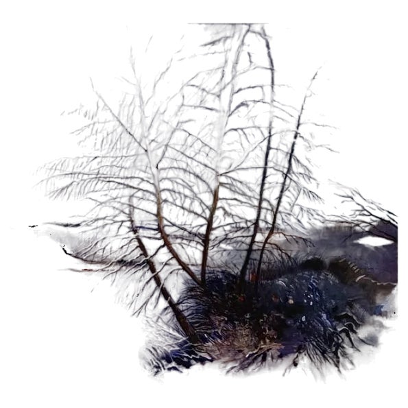 Barbara Hubert, Winter in Olchowiec, 2022, Oil on Canvas For Sale