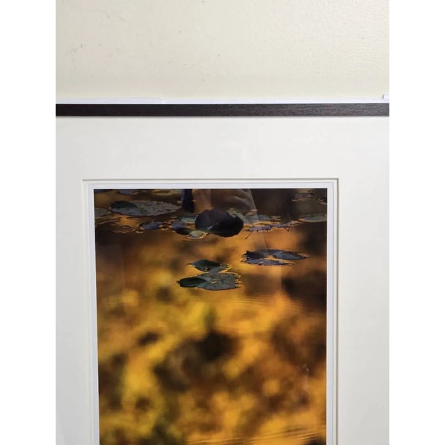 Black Late 20th Century Bill Pusztai Signed Limited Edition "Seattle Japanese Garden" Photograph & "Black Locust" Botanical Print - Framed Pair For Sale - Image 8 of 16