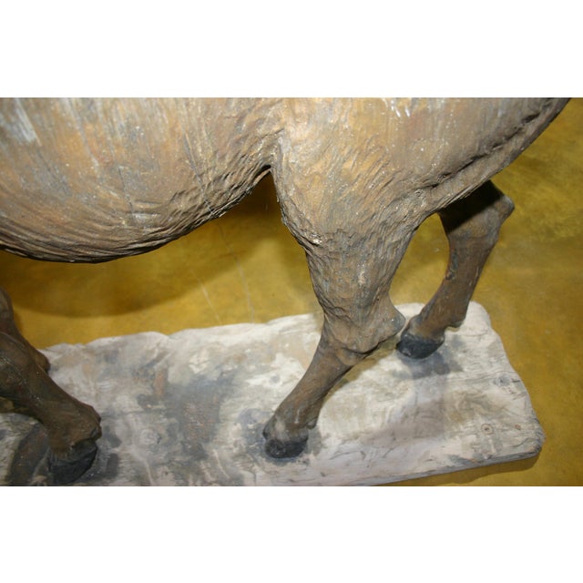 Antique Folk Art, Carved Life Size Mountain Goat - Ram For Sale - Image 12 of 15