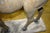 Antique Folk Art, Carved Life Size Mountain Goat - Ram For Sale - Image 12 of 15