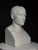 Bust of Napoleon, 20th Century, Plaster For Sale - Image 13 of 18