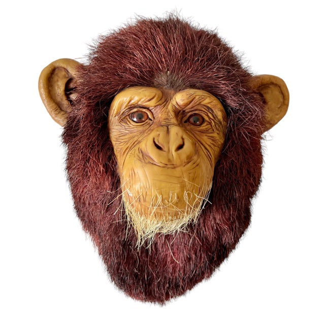 Anne Andersson, Monkey Head Natural Sisal Fiber Clay Sculpture Chimpanzee Anne Andersson Art, 2009 For Sale