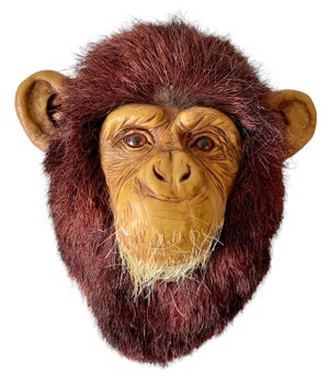 Anne Andersson, Monkey Head Natural Sisal Fiber Clay Sculpture Chimpanzee Anne Andersson Art, 2009