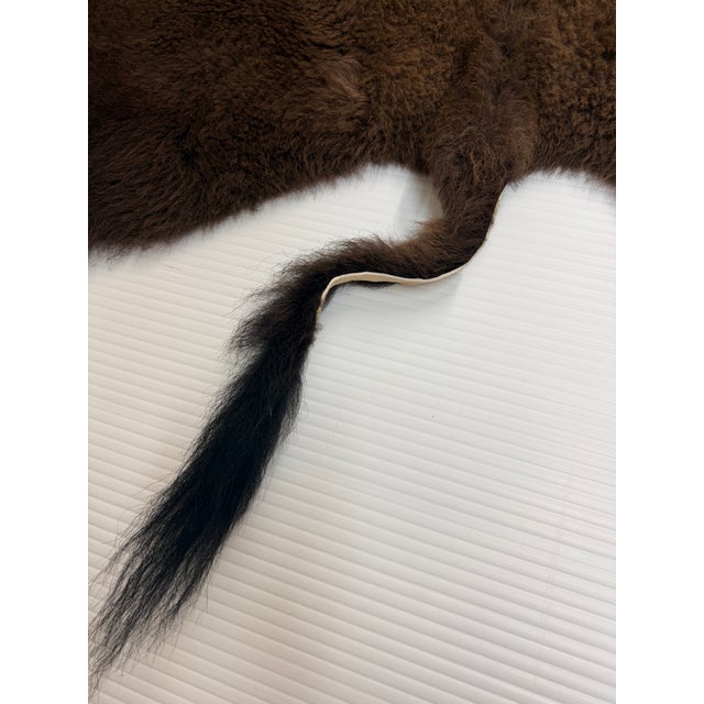 6ft 8in × 8ft Buffalo Pelt, Winter Woolly For Sale - Image 9 of 12