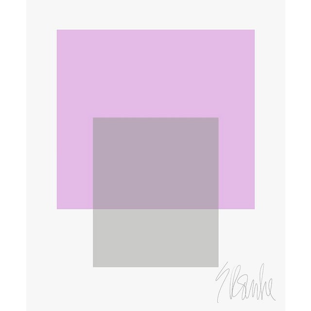 The Interaction of Lavender and Gray Fine Art Print 40" X 50" by Liz Roache For Sale In Boston - Image 6 of 6