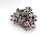 Chinoiserie Natural Barnacles Cluster For Sale - Image 3 of 7