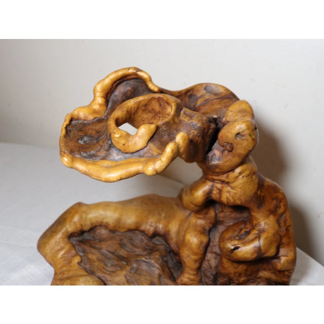 19th Century Antique Chinese Natural Root Burl Wooden Formation Figure Stand Sculpture Statue For Sale - Image 5 of 12