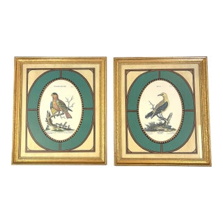 Vintage John-Richard Framed Brid Prints- A Pair For Sale